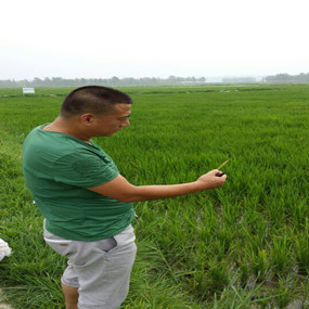 2014年與溫中申博士（留學(xué)日本）合作鹽堿地改良并重建土壤生態(tài)系統(tǒng)示范試驗(圖2)