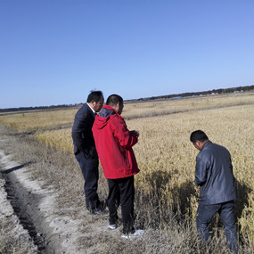 鹽堿地種植水稻當(dāng)年取得成功—2014年吉林省鎮(zhèn)賚縣電視臺(tái)新聞報(bào)道(圖5)