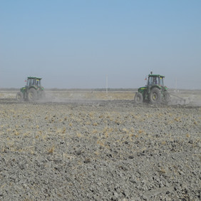 鹽堿地改良種植水稻—2012年吉林白城鎮(zhèn)賚縣鹽堿地種植水稻（開荒、打井、插秧、生長和成熟全過程記錄）(圖5)