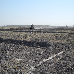 鹽堿地改良種植水稻—2012年吉林白城鎮(zhèn)賚縣鹽堿地種植水稻（開荒、打井、插秧、生長和成熟全過程記錄）(圖6)