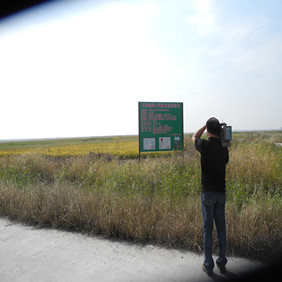 鹽堿地改良種植水稻—2012年吉林白城鎮(zhèn)賚縣鹽堿地種植水稻（開荒、打井、插秧、生長和成熟全過程記錄）(圖11)