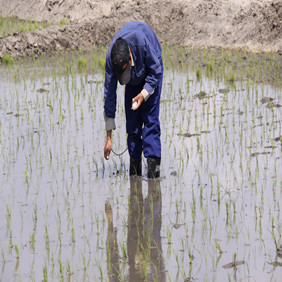 2009年吉林西部土地開發(fā)項(xiàng)目現(xiàn)場會(圖3)