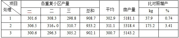 鹽堿地種植加工番茄施用禾康試驗（新疆昌吉，番茄）(圖2)