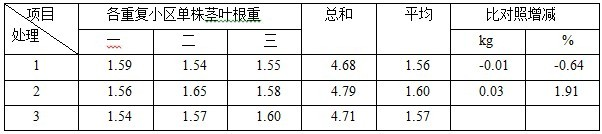 鹽堿地種植加工番茄施用禾康試驗（新疆昌吉，番茄）(圖6)