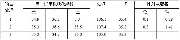 鹽堿地種植加工番茄施用禾康試驗（新疆昌吉，番茄）(圖5)