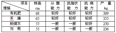 鹽堿地種小麥禾康改良試驗(yàn)（新疆克拉瑪依，小麥）(圖1)